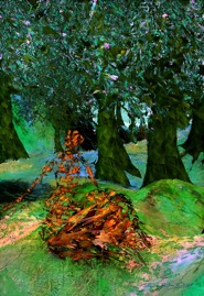 Would you not have me honest.jpg