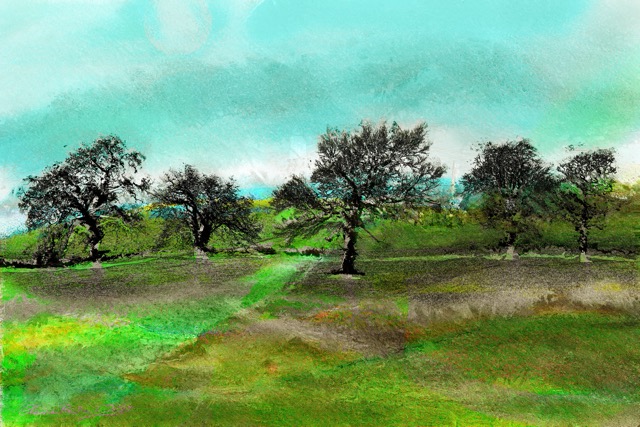 'Winter Bright'- Trees 2015