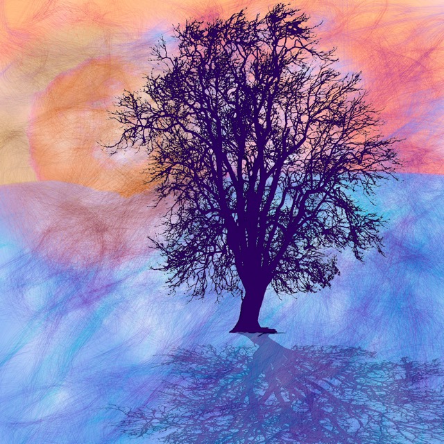 'Solstice' - Trees 2015