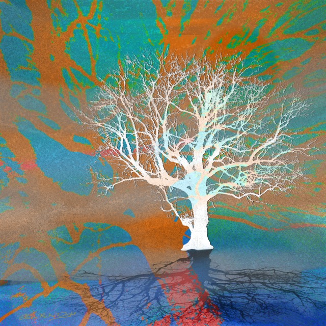 Shadows (40 x 40cm on paper) Framed