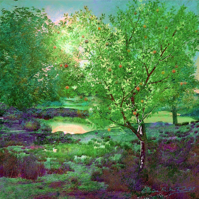 Summer Passing (17 x17cm on paper) Framed