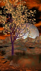 Moonlight Fantasy.jpg